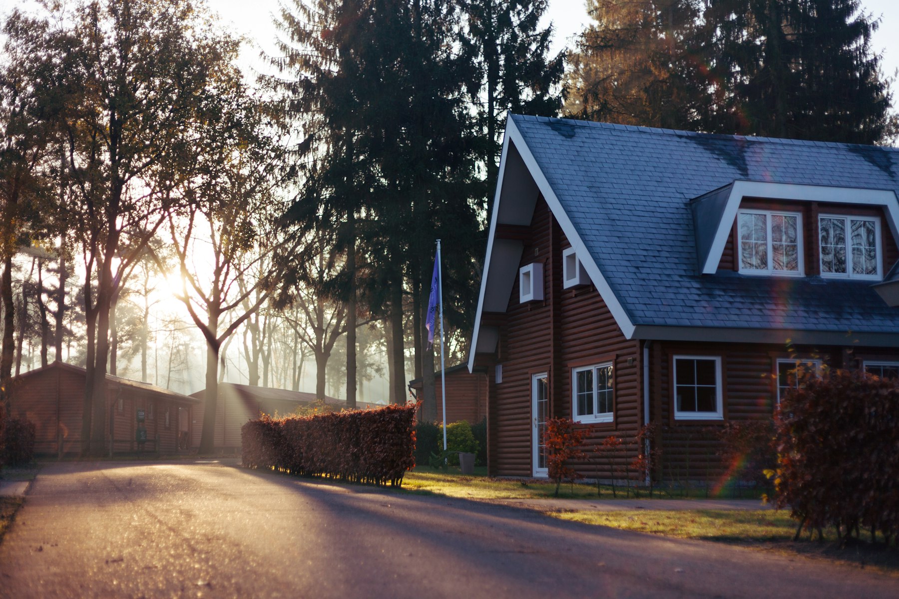 Tree-lined residential street of single-family homes